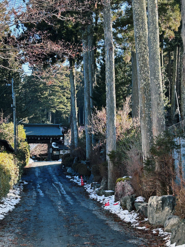 在日本寺廟打坐一天｜ 高野山惠光院