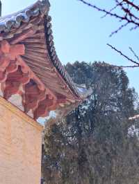 廣仁王廟