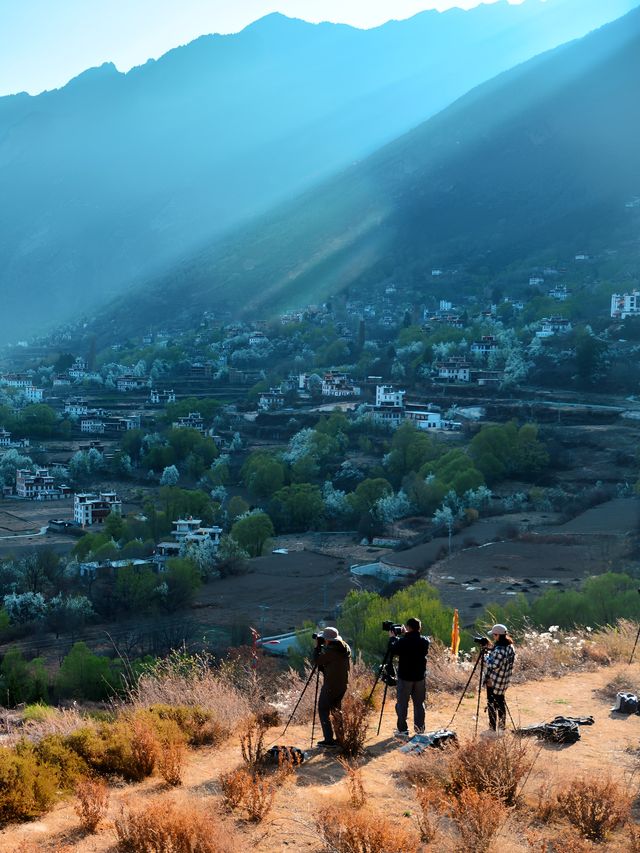 丹巴梨花 | 錯過等一年的川西絕景，這份指南請收藏