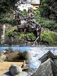 必收藏！日本松山超正玩法，小眾又珍貴