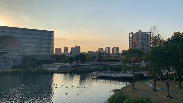 上海嘉定週末遊：湖光與藝術的浪漫邂逅