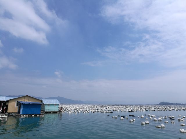 海邊的海洋世界
