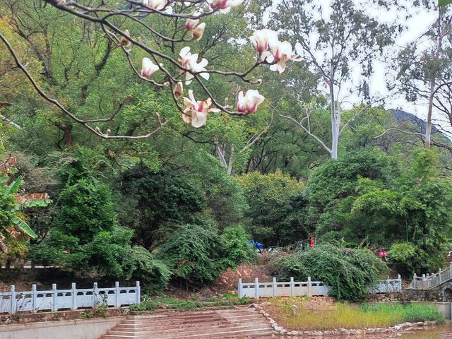 桂林近郊踏青賞花的好去處