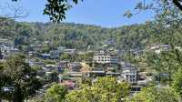 西雙版納南糯山，茶山十公里「慢搖」路線！