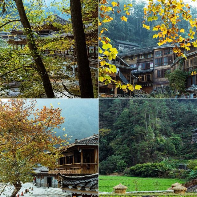 奧運聖火走過的地方 | 雷山郎德苗寨