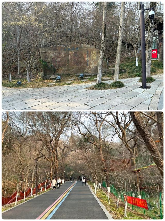 南京頂流！春天的棲霞山霸屏朋友圈