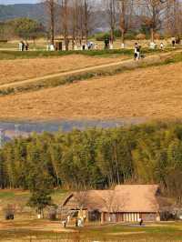 杭州週末好去處｜良渚文化遺址公園限時免費攻略