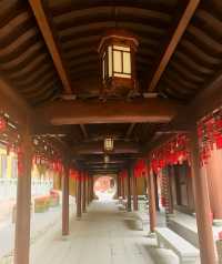 人生迷茫 沒有答案 就來抄抄經 玉佛禪寺