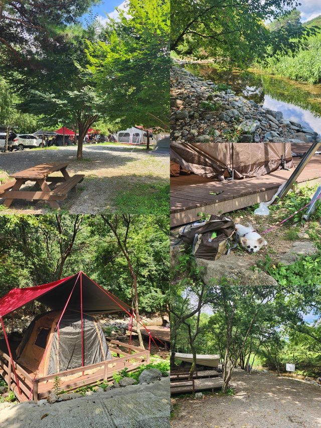 韓國洪川郡：小眾寶藏旅行地