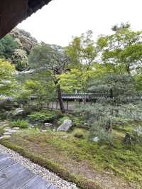清明去日本 超美超詳細攻略來啦