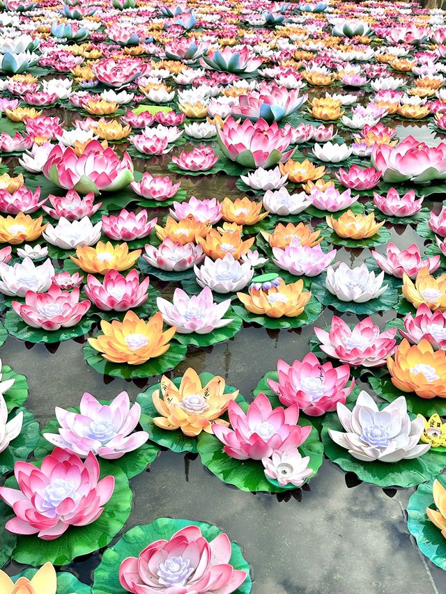 清明小長假 西雙版納-麗江-大理市遊玩全攻略