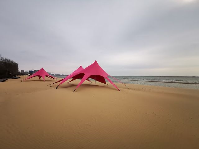 清明出行︱金夢海灣今日實況