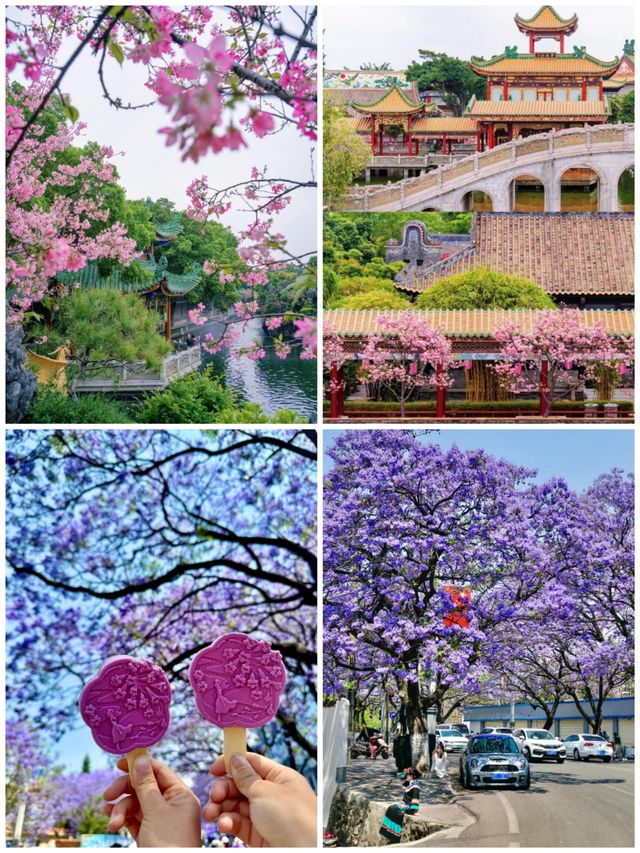 水鄉花海·五城秘境遊全攻略