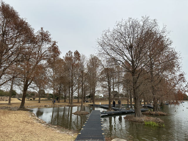 上海辰山植物園