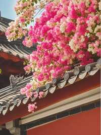 深圳園博園48小時深度美學之旅