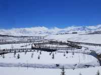 雪域秘境神奇普蘭