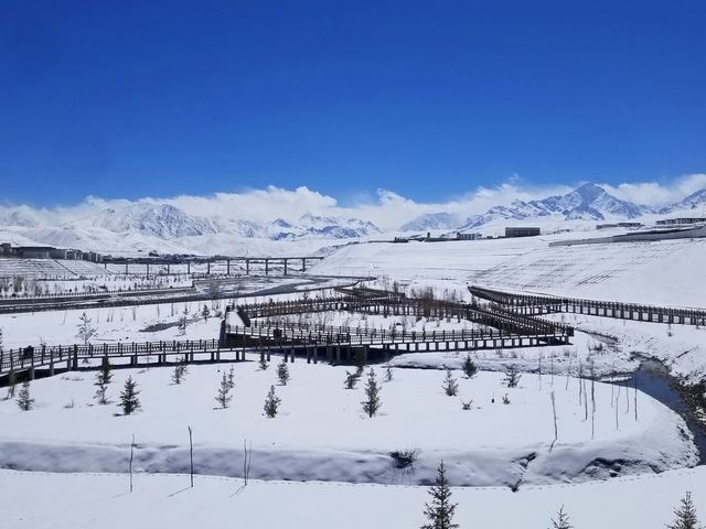 雪域秘境神奇普蘭