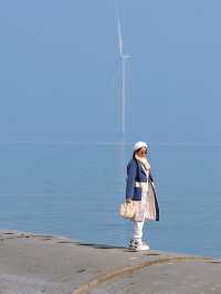 天津免費觀賞海鷗｜東疆親海公園超詳細攻略