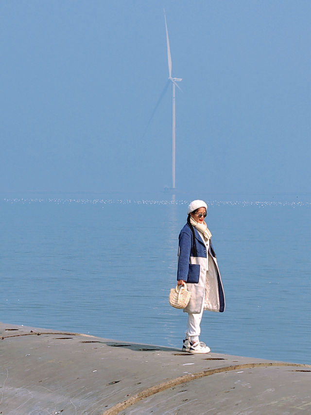 天津免費觀賞海鷗｜東疆親海公園超詳細攻略