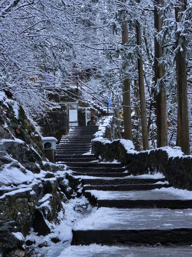 「不識廬山真面目，只緣身在此山中」