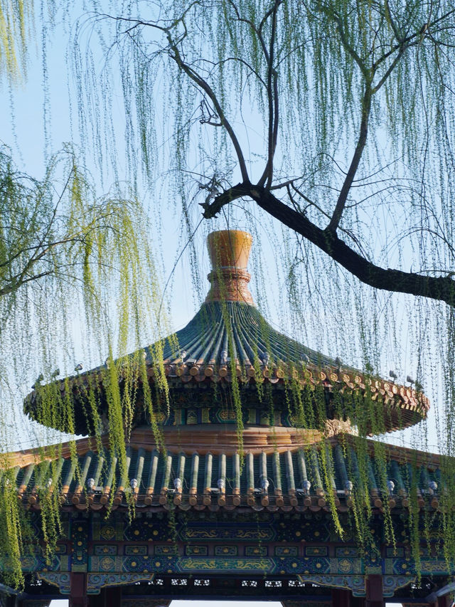 北海已回，說點難聽的大實話