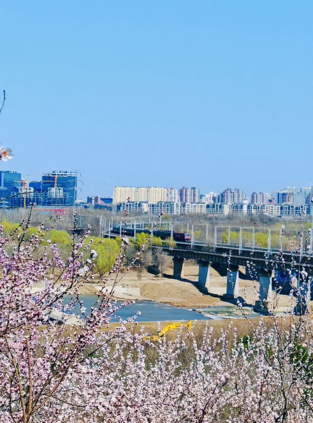 北京園博園6號園｜春天上春山｜園博園桃花谷