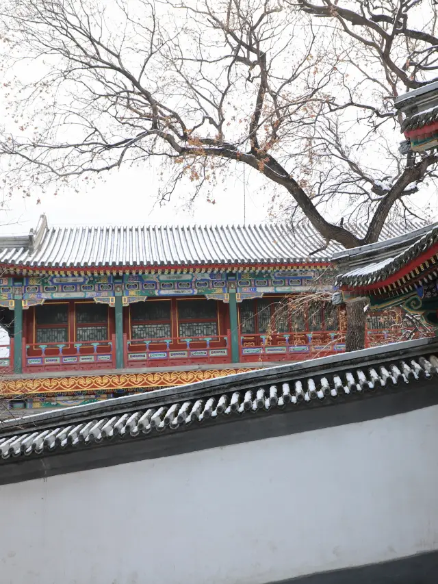 Beijing Peach Blossom Viewing Guide: Beihai Park
