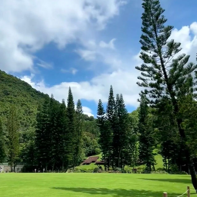 🌿【深圳仙湖植物園懶人攻略】✨