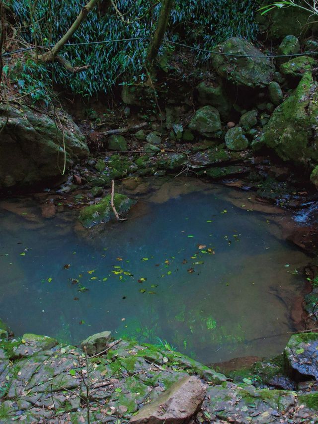 小長假去樂山，睇呢篇攻略就夠曬啦