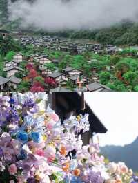 上個週末去咗葛仙村，朋友圈嘅人都問爆咗，因為…