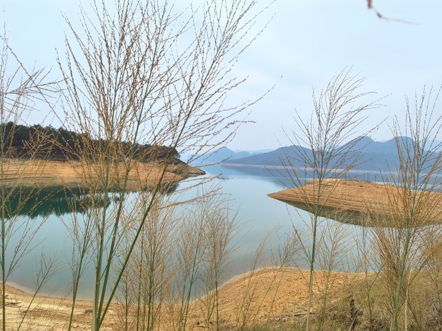 廣東5天自駕遊，浸溫泉、品嚐美食和賞花