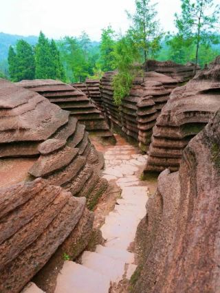 An Underwater Wonderland in a Time Capsule: The 500-Million-Year-Old Xiangxi Red Stone Forest