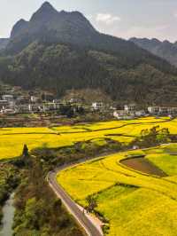 興義萬峰林油菜花不可錯過春日花海