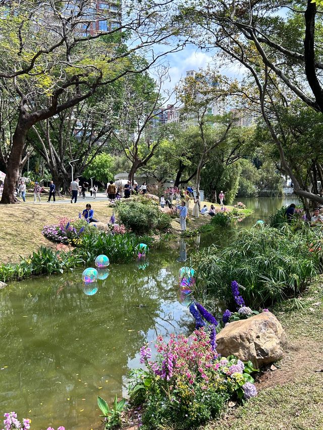深圳人民公園 | 莫奈秘境花園🫧春日氣氛感  這是深圳市內最早的公園之一，安靜人少，閒暇時來這