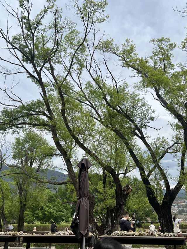 Quick Stop at Shaxi Village