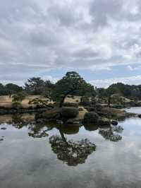識名園賞櫻攻略：在歷史遺跡中漫步粉色花海