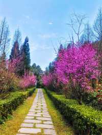 觀山湖公園 | 邂逅城市綠肺,開啟一場治癒的吸氧之旅