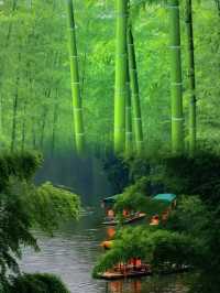 蜀南竹海真的值得去嗎？這份避坑指南告訴你答案！