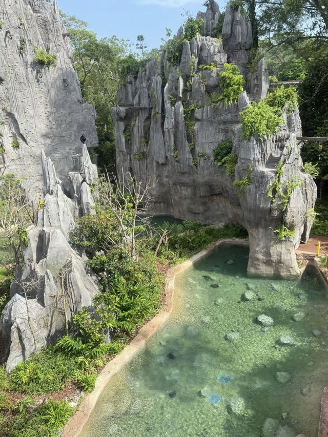 熱帶雨林，探險之心：亞洲雨林的奇幻之旅