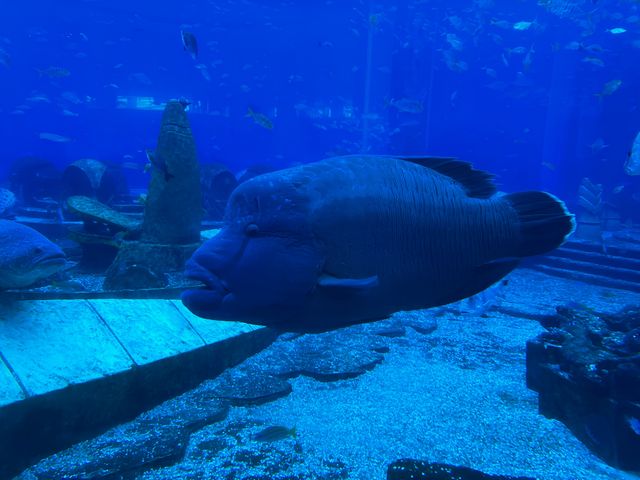 海底兩萬里