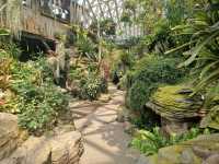 Dream Day at Chenshan Botanical Gardens