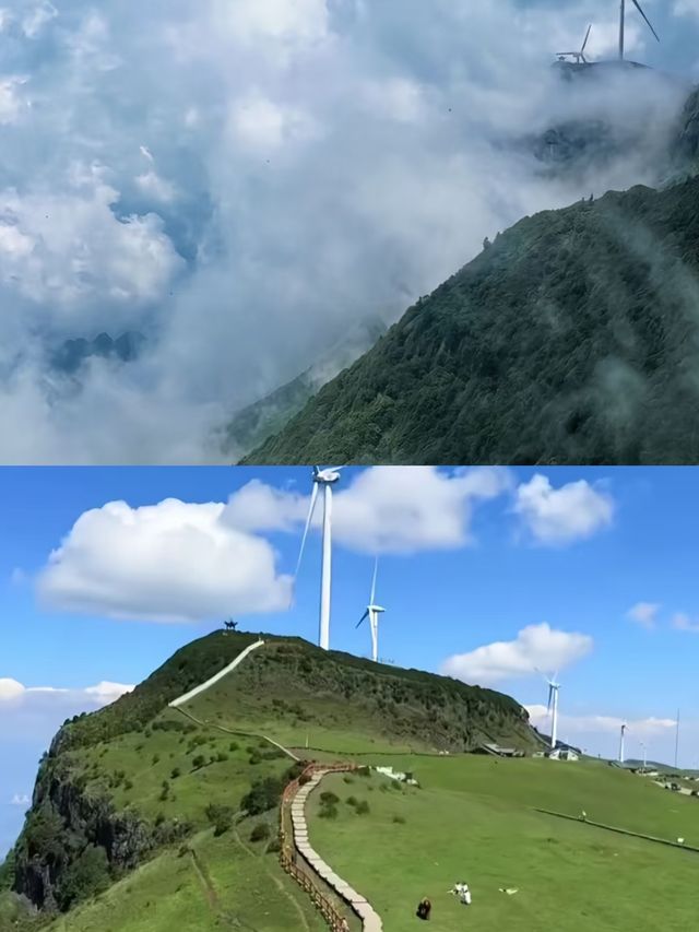 盤州第一次嚟，呢啲坑千祈唔好踩！