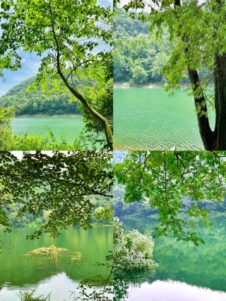 A Hidden Gem of Tranquility: Your Guide to a Date with Nature