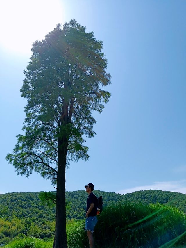 仲喺西湖逼？不如嚟南北湖感受下山水嘅寧靜啦！