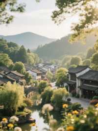 永泉小鎮旅行全攻略
