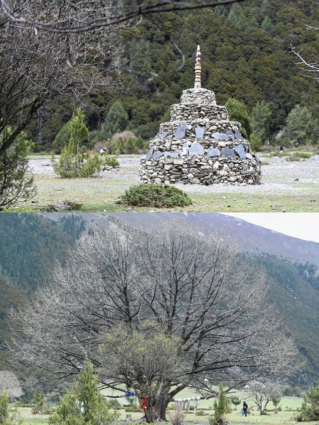 解鎖香格里拉徒步秘境·無底湖