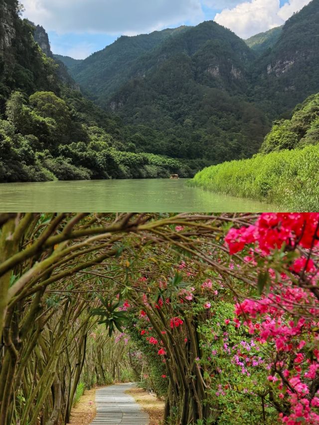 隱藏喺來賓小眾中嘅驚喜