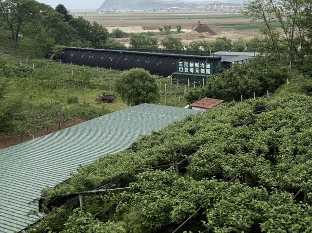 Female solo travel guide to Dandong