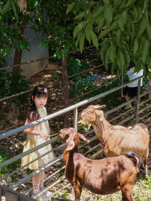 喺成都，我真係被深深治癒咗