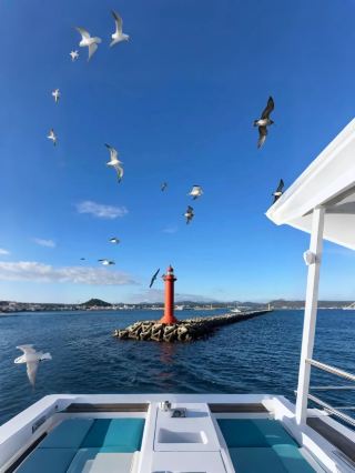 A Must-Read for K-Drama Fans! Jeju Island's Stunning 3-Day, 2-Night Itinerary!
